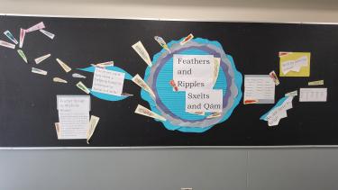 Feathers and Ripples